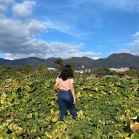 Amado Canora (@sof_amado) 's Twitter Profile