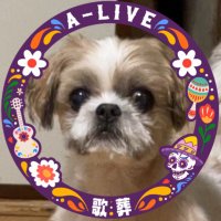 莉加子 (@rikako1213) 's Twitter Profile Photo 莉加子 (@rikako1213) 's Twitter Profile Photo