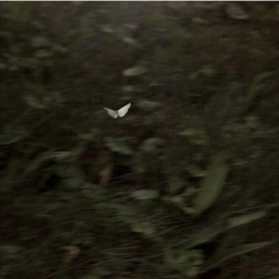 mfalaan's profile picture. 