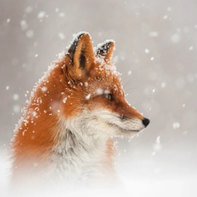 quimicefa83's profile picture. 