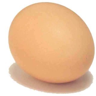 Spontificate's profile picture. I am a lab monkey that likes gaming and entering competitions.