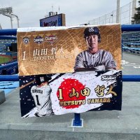 テツヤ🐧⛱️ (@tetsuya_ys1) 's Twitter Profile Photo