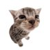 ★ (@laguisheee) Twitter profile photo ★ (@laguisheee) Twitter profile photo