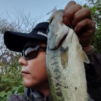 ［nobusan］ (@nobrztzr250) 's Twitter Profile Photo