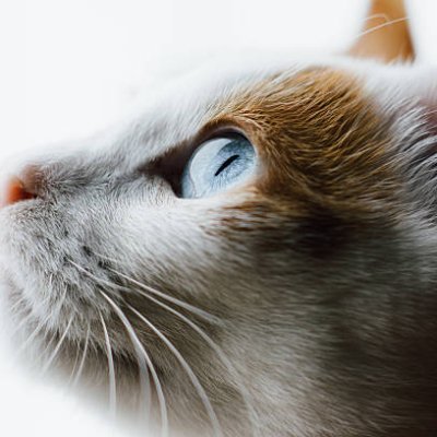 GraceLee28262's profile picture. 