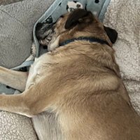 Bishop Moorman (@bishopmoorman) 's Twitter Profile