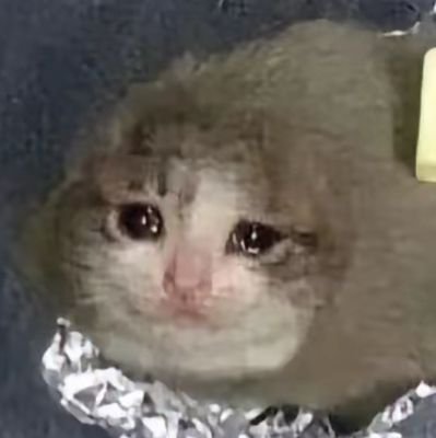 baozi382759's profile picture. 