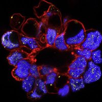 Guillermet's Lab (@guillermetlab) 's Twitter Profile Photo Guillermet's Lab (@guillermetlab) 's Twitter Profile Photo