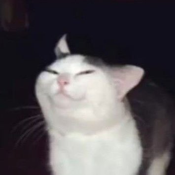 adsyapicasso's profile picture. حَسْبُنَا اللهُ وَنِعْمَ الْوَكِيْلُ | FreePalestin