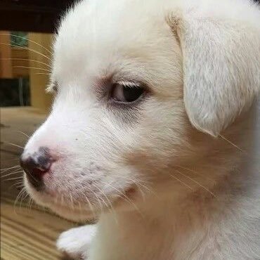 iyaaat_ha's profile picture. 