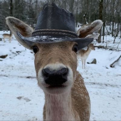 21 and trying to survive knowing that arthur morgan could never be real
