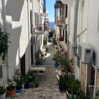 PAŞA (@erkanta49426627) Twitter profile photo