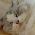 อ้ง (@tonwaioom) Twitter profile photo อ้ง (@tonwaioom) Twitter profile photo