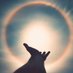 Alex (@alex65532334852) Twitter profile photo Alex (@alex65532334852) Twitter profile photo