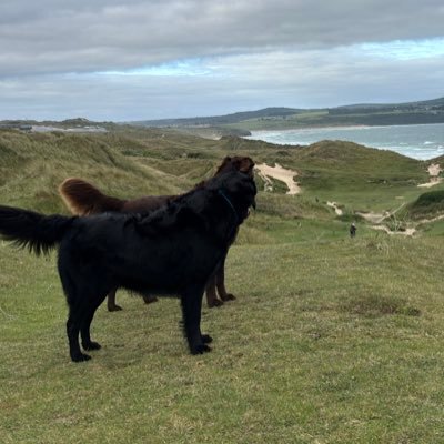 bluebarmy_james's profile picture. Son, brother, husband, dad, uncle, dog lover, Ipswich town and Bath rugby fan