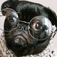 jill_thoma41796's profile picture. There is no future without crypto