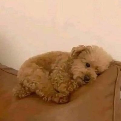 ArturoA98's profile picture. 