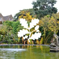 Hidcote (@hidcotent) Twitter profile photo