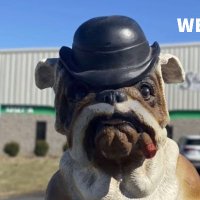 Shamrock Marketing Inc. (@incshamrock) 's Twitter Profile