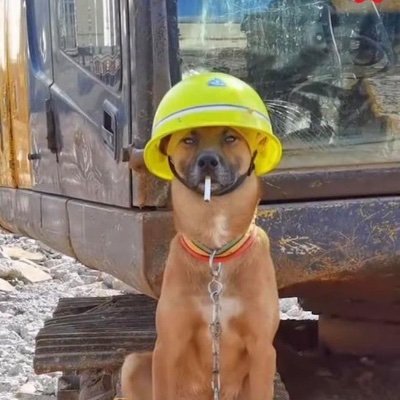 El piquete alante ante toda adversidad | Trabajador Social Comunitario | he/him/él | JSALP | ☭