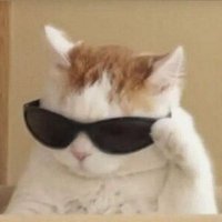 Creatiner (@luxtanke) 's Twitter Profile