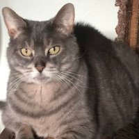 Vince (@teamdrs3) 's Twitter Profile