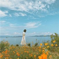 Haruka (@haruka142615) 's Twitter Profile