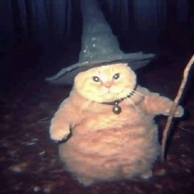 ruse_sushi's profile picture. 