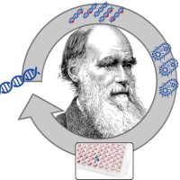 Weissenborn Research Group (Nemo) (@weissenborn_lab) 's Twitter Profile Photo Weissenborn Research Group (Nemo) (@weissenborn_lab) 's Twitter Profile Photo