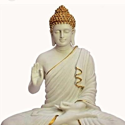 manojdevpal31's profile picture. DVM( Doctor of Veterinary Medicine)
Namo Buddhay 💙🙏