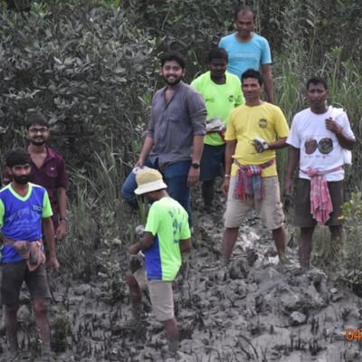 Finding the true Mysteries of Sunderbans Ecosystem