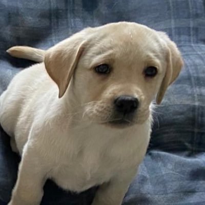 electray1's profile picture. Husband & proud father of 4, RETIRED Monroe-Woodbury TA President & HS Teacher 35 yrs,Former NYSUT Board of Director, Die-hard Eagles fan since ‘76, GO BIRDS!🦅