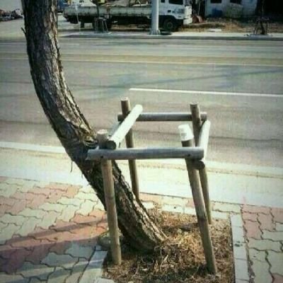 NulandPieter's profile picture. 