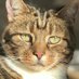 Nelly D & Yogi (@nellyd12825012) Twitter profile photo Nelly D & Yogi (@nellyd12825012) Twitter profile photo