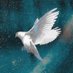 Yeshua - The Messiah (@yeshuamassiah12) Twitter profile photo Yeshua - The Messiah (@yeshuamassiah12) Twitter profile photo