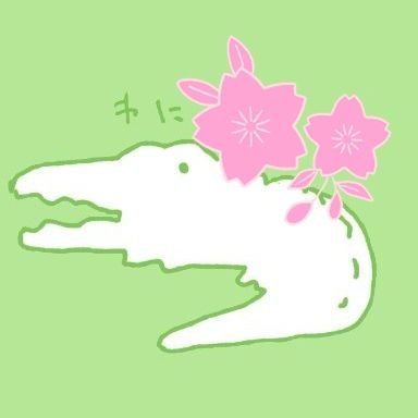 🎴わにのもこけ🌸さんのプロフィール画像