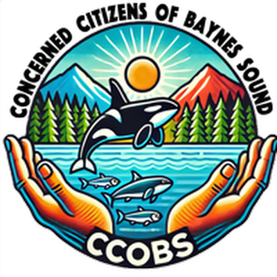 CcobsSociety's profile picture. "Concerned Citizens of Baynes Sound (CCOBS) is a community group advocating for environmental protection & responsible industrial practices in Baynes Sound, BC.