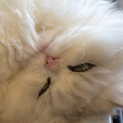 LOPS412893's profile picture. No risk, no story