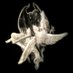 . (@0000fv) Twitter profile photo . (@0000fv) Twitter profile photo
