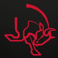 Rasmus Petersen (@raspe41) 's Twitter Profile