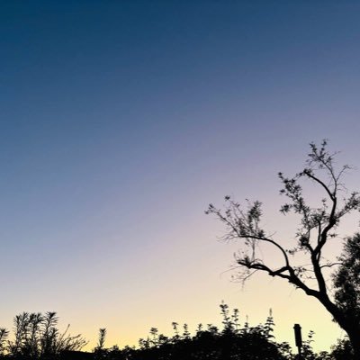 zhishi2046's profile picture. 永生永世追随侍奉我主