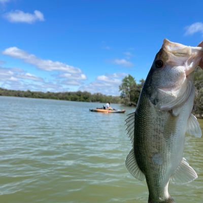 CoachDrew10s's profile picture. 