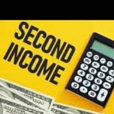 IncomeUS2024's profile picture. Helping you discover the best ways to create a second stream of income through online opportunities, side hustles, and investments.