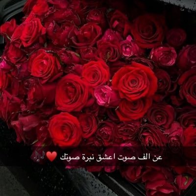 Naooom0_0's profile picture. ســـــبـحـــــان الــله وبــــحـمــــــده ســـــبـحـــــــان الــله العظيــــــــــمـ