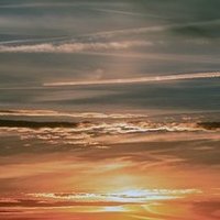 Michelle Mitchellπ² (@michellemi65586) 's Twitter Profile