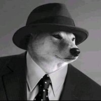 DogFatherCTO (@dogfathercto) 's Twitter Profile