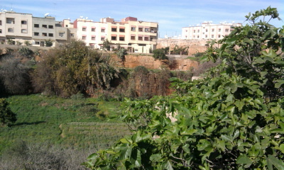 Ibrahim Profile