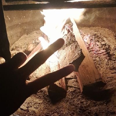 LVoseci's profile picture. 🇫🇯