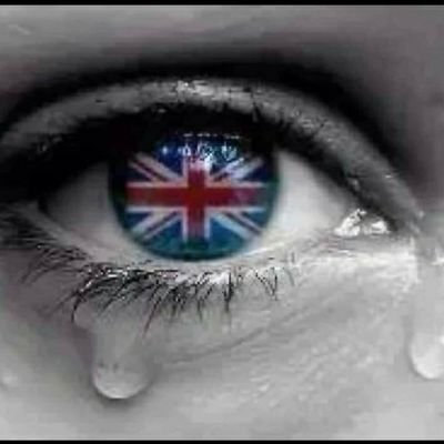 CrownPrinzEugen's profile picture. A foreign correspondent who no longer corresponds.