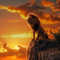 Mhalinga (@amhalinga) 's Twitter Profile